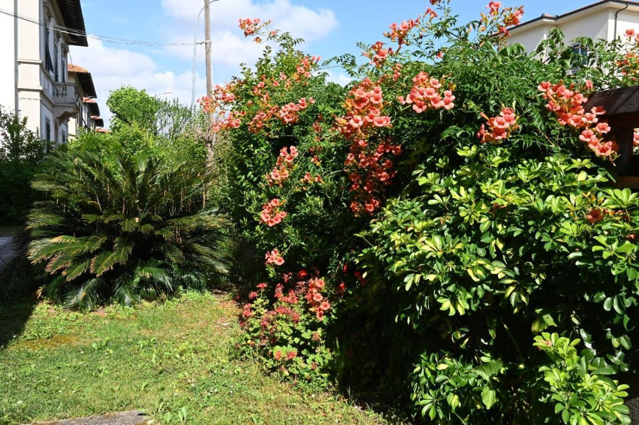 Villa Mehari 比萨 外观 照片