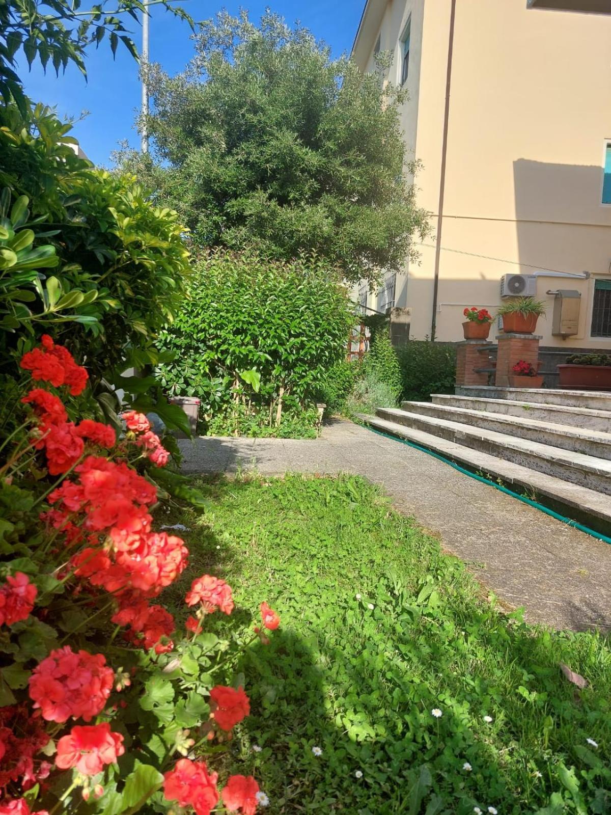 Villa Mehari 比萨 外观 照片