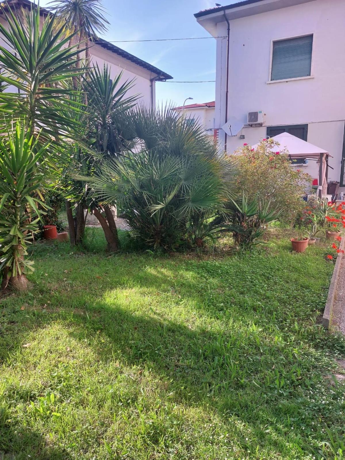 Villa Mehari 比萨 外观 照片