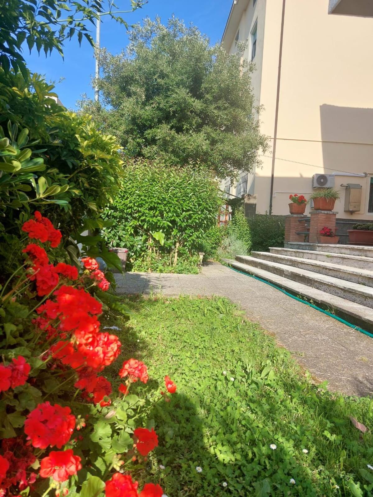 Villa Mehari 比萨 外观 照片